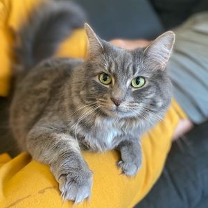 Pet friendly home 🏠 💞